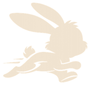 Liebre, mascota de MiCarroSeguro.co